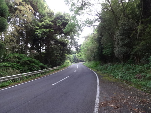 DSC06090