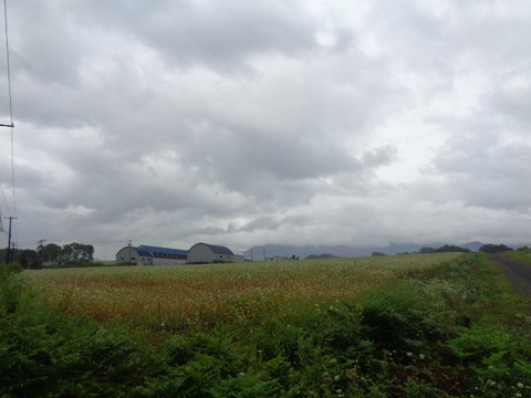 DSC04704