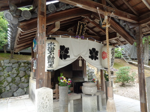 DSC00306