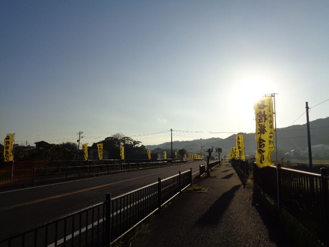 DSC05094