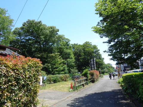 DSC00238