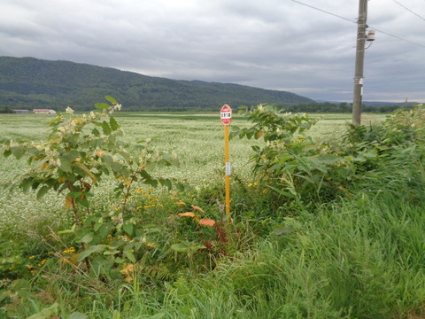 DSC04633