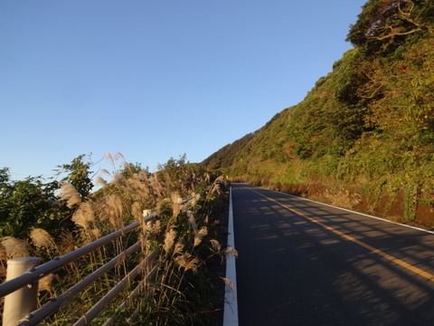 DSC01215