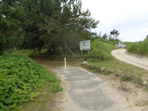 DSC06937