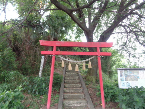 DSC03787
