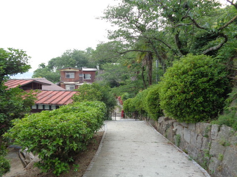 DSC09716