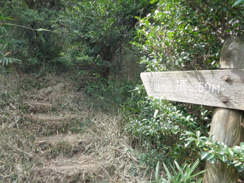 DSC02223