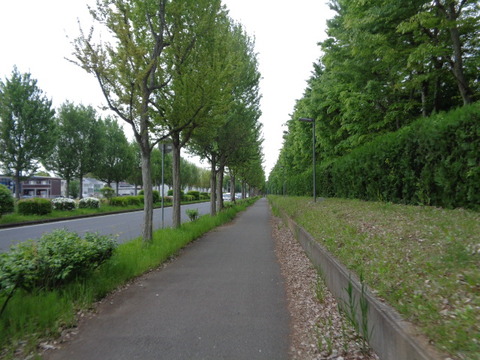 DSC02005