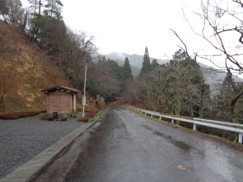 DSC04782