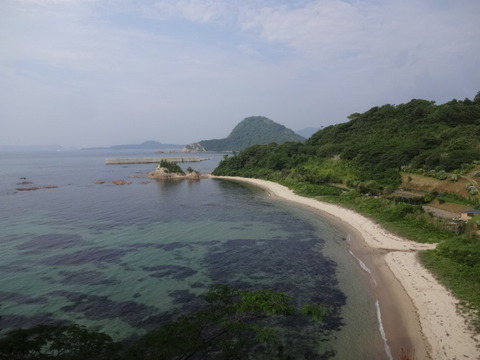 DSC05498