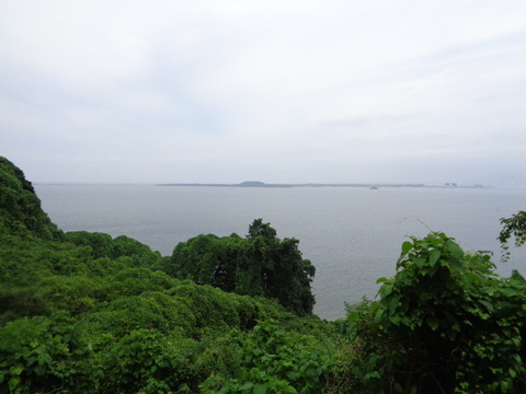 DSC00930