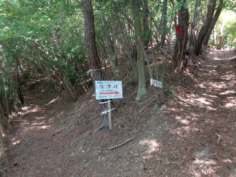 DSC01820