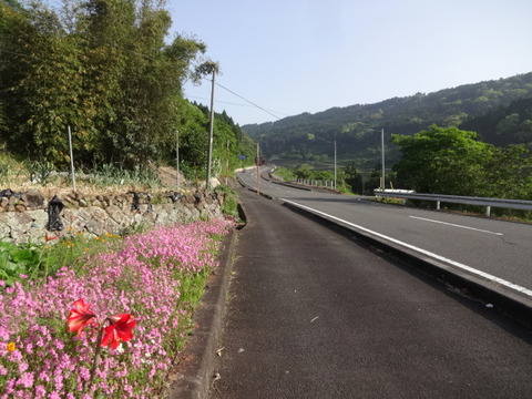 DSC06073