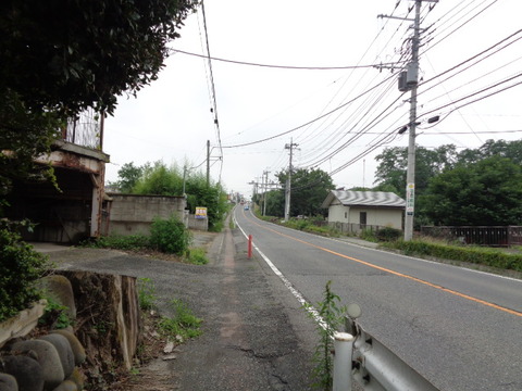 DSC03986