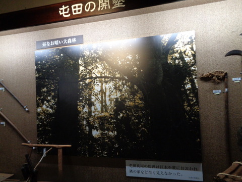 DSC03267