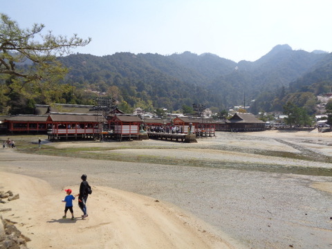 DSC08884