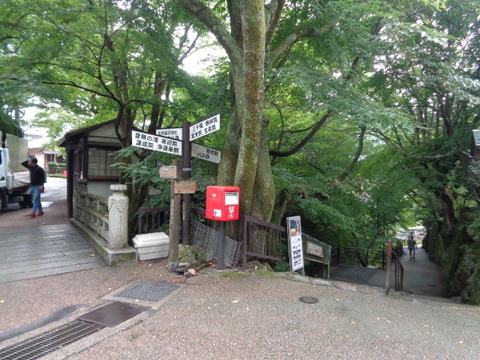 DSC01491
