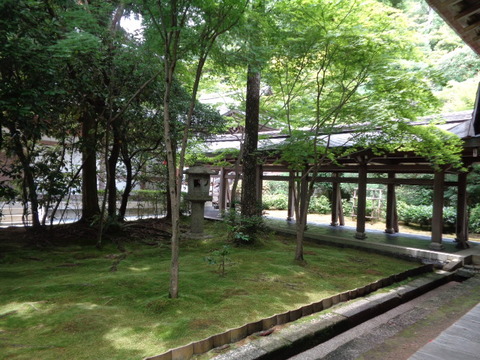 DSC00204