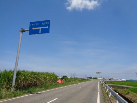DSC08875