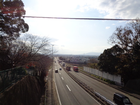 DSC07022