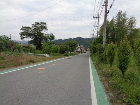 DSC03175