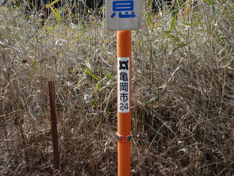 DSC04059