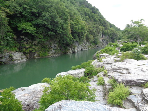 DSC02437