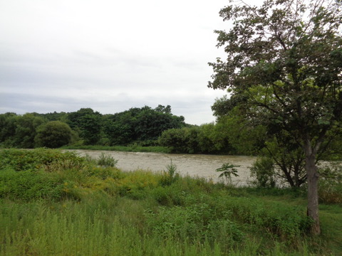 DSC03755
