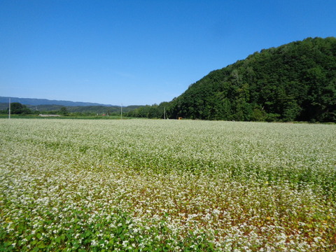 DSC04342
