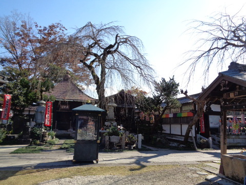 DSC04450