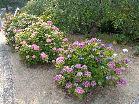 DSC09634
