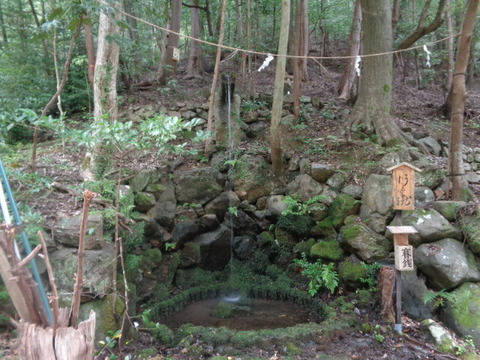 DSC01311