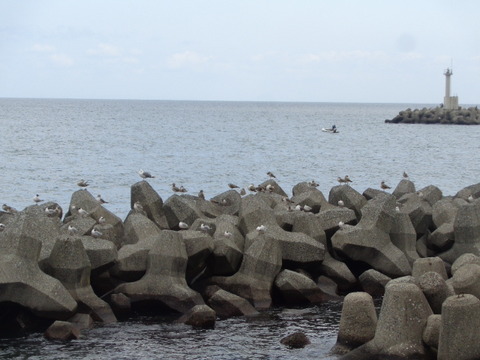 DSC05779