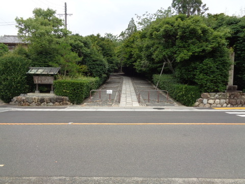 DSC00163