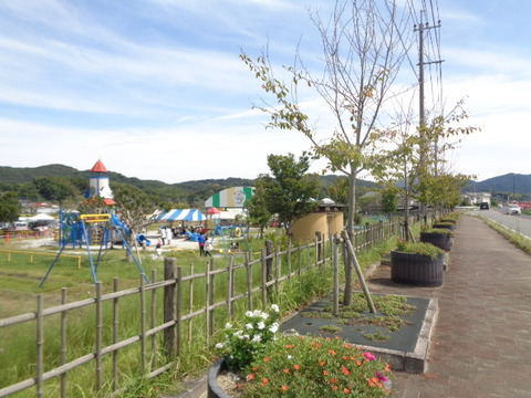 DSC02563