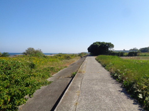 DSC09971