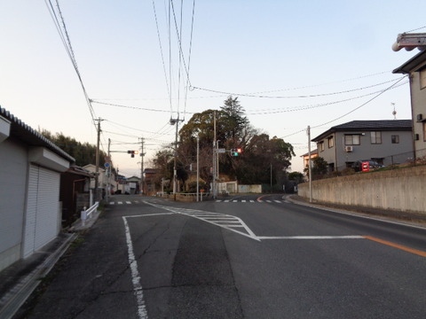 DSC04031