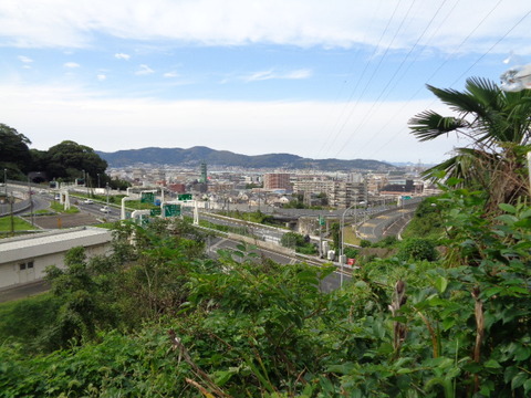 DSC02341