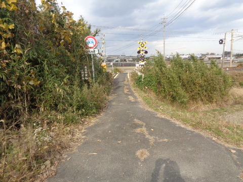 DSC06995