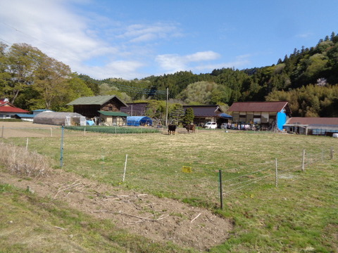 DSC09837