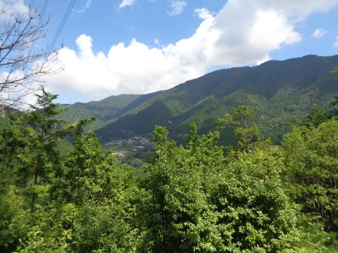 DSC01845