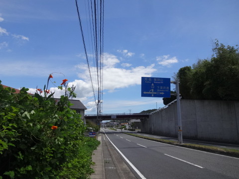DSC09901