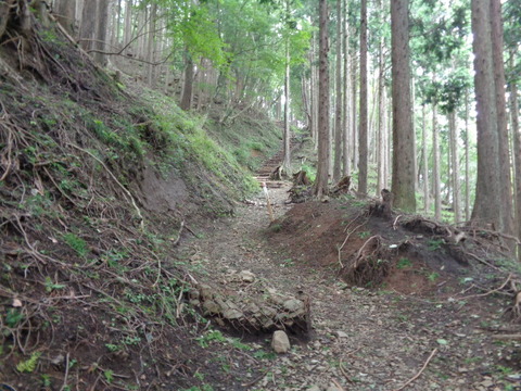 DSC05316