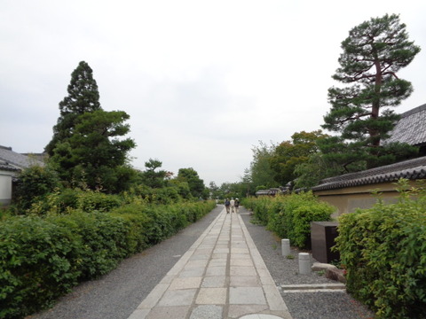 DSC00395