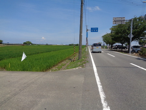 DSC08878