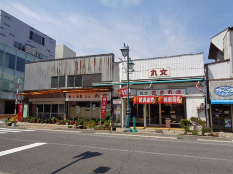 DSC01118