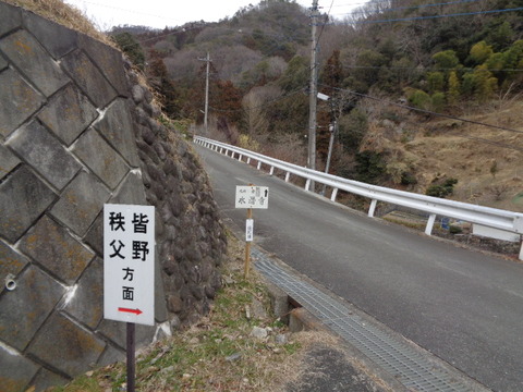 DSC09005