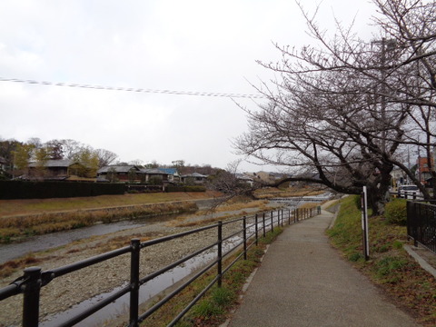 DSC03602