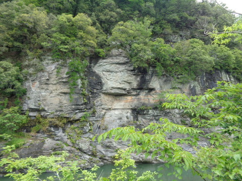DSC02453