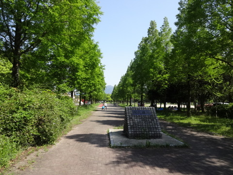 DSC05043